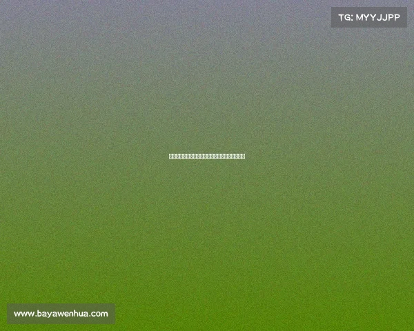 德甲历史上零封场次最多的球队及其防守战术分析